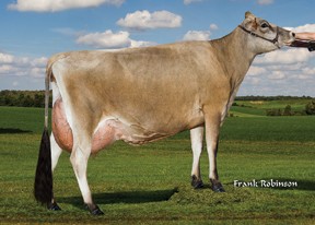 7JE01184 GLYNN HEADLINE NEWS-ET JH1F ჯერსი ჯერსული